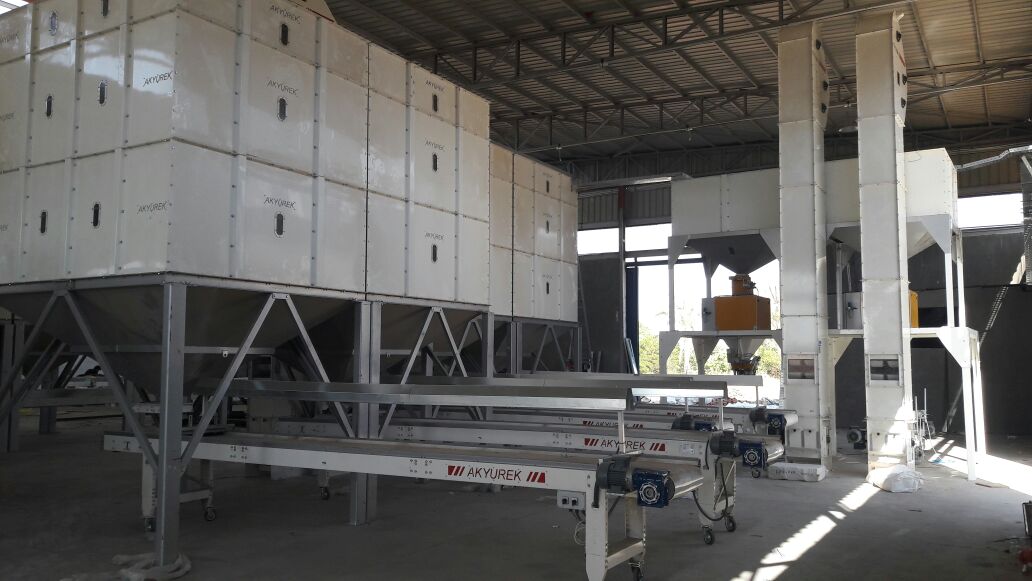 White Beans Cleaning and Pulses Cleaning Solutions - Image 4
