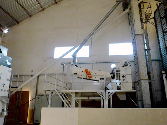 Chia Seed Processing Plant - Image 10