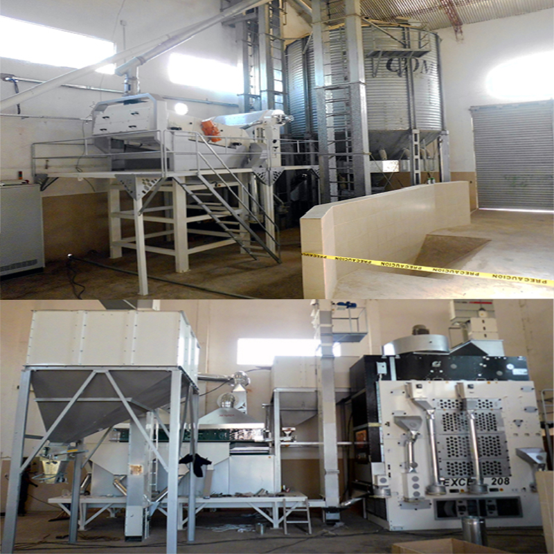 Mmctech Chia Seed Processing Plant Turnkey projects in North America