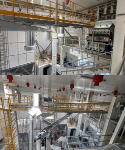 Mmctech Multi High-Efficiency Kernel Processing Plant 99.99% Purity Guaranteed