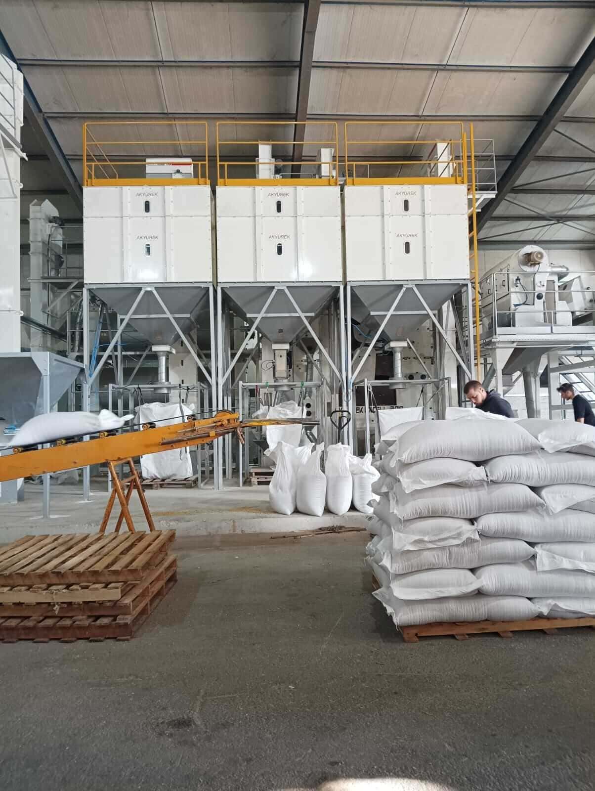 Millet Seed Processing Plant - Seeds Cleaning Facilities - Image 2
